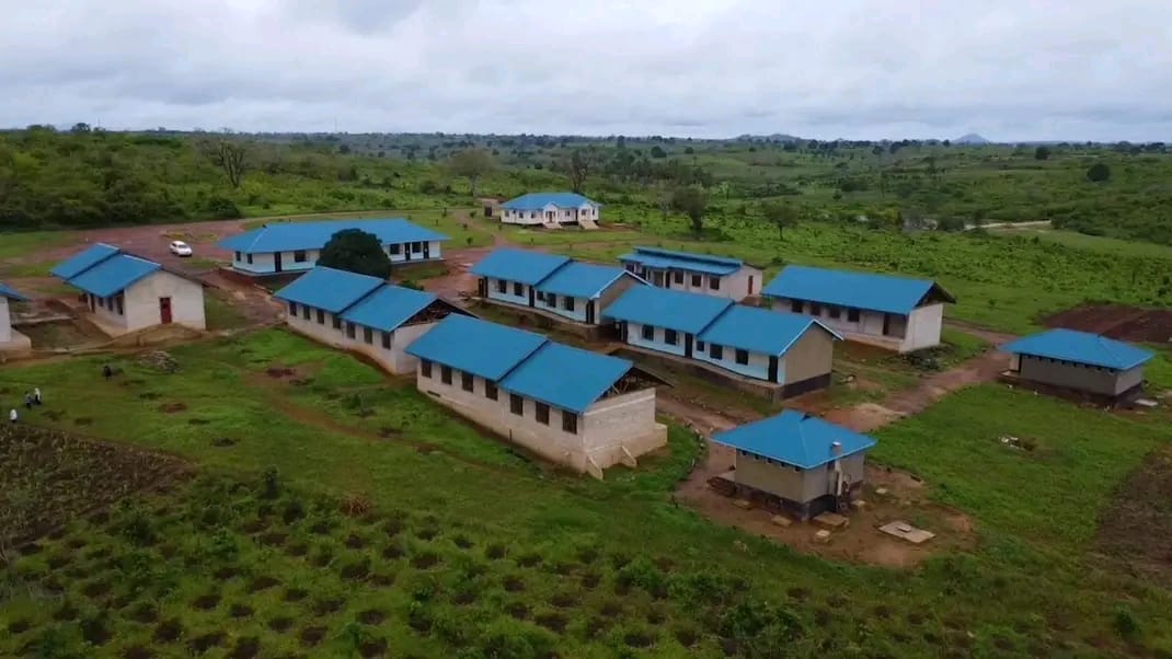 Reforestation landscape